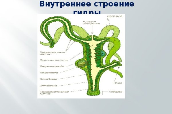 Регистрация кракен